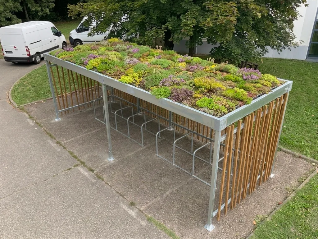 Toit vegetalisé4 jpg.webp