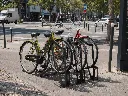 parraché rue.webp